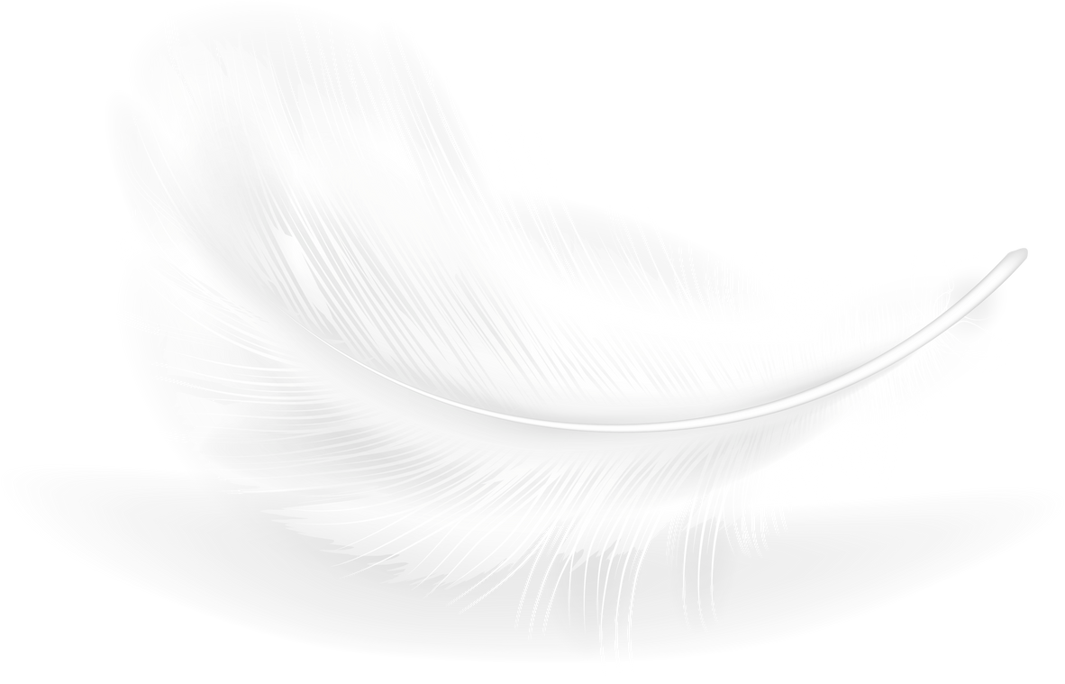 Feather realistic